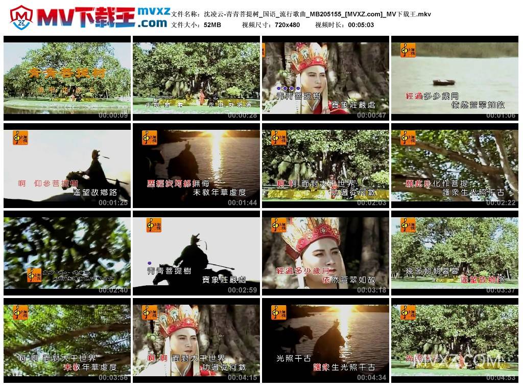 沈凌云-青青菩提树_国语_流行歌曲_MB205155